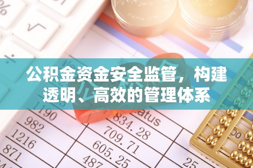 若羌公积金资金安全监管，构建透明、高效的管理体系