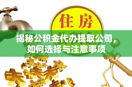 若羌揭秘公积金代办提取公司，如何选择与注意事项