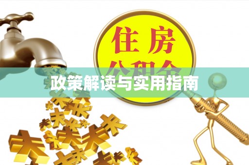 若羌政策解读与实用指南