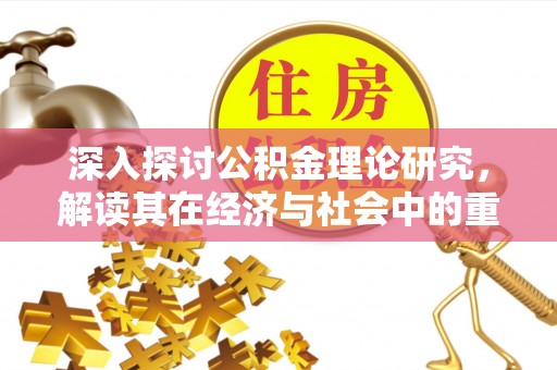 若羌深入探讨公积金理论研究，解读其在经济与社会中的重要角色