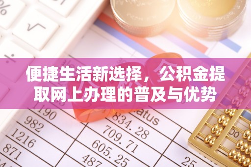 若羌便捷生活新选择，公积金提取网上办理的普及与优势