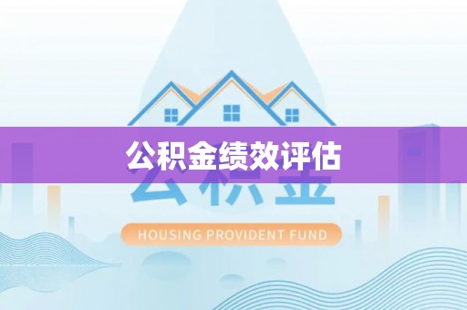 若羌公积金绩效评估