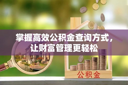 若羌掌握高效公积金查询方式，让财富管理更轻松
