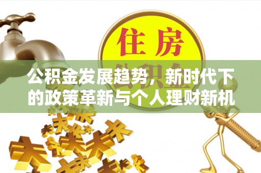 若羌公积金发展趋势，新时代下的政策革新与个人理财新机遇