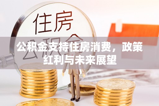 若羌公积金支持住房消费，政策红利与未来展望