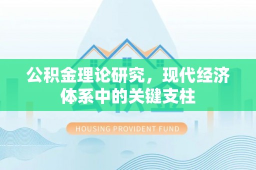 若羌公积金理论研究，现代经济体系中的关键支柱