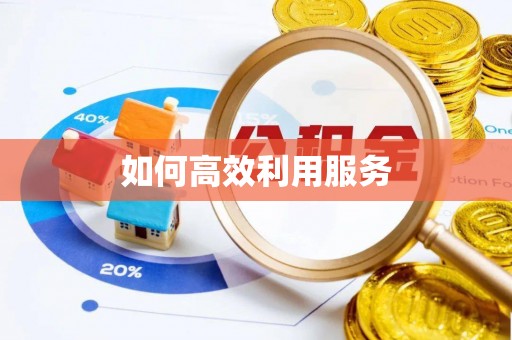 若羌如何高效利用服务
