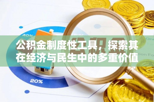 若羌公积金制度性工具，探索其在经济与民生中的多重价值