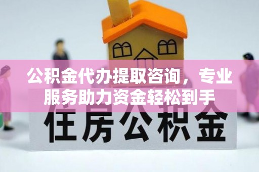 若羌公积金代办提取咨询，专业服务助力资金轻松到手