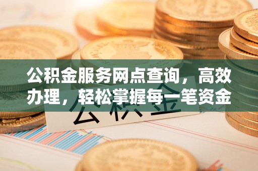 若羌公积金服务网点查询，高效办理，轻松掌握每一笔资金动态