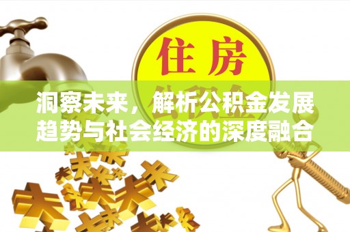 若羌洞察未来，解析公积金发展趋势与社会经济的深度融合