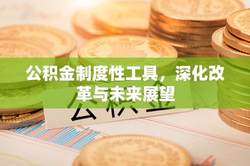 若羌公积金制度性工具，深化改革与未来展望
