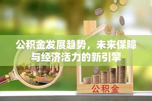 若羌公积金发展趋势，未来保障与经济活力的新引擎