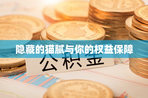 若羌隐藏的猫腻与你的权益保障