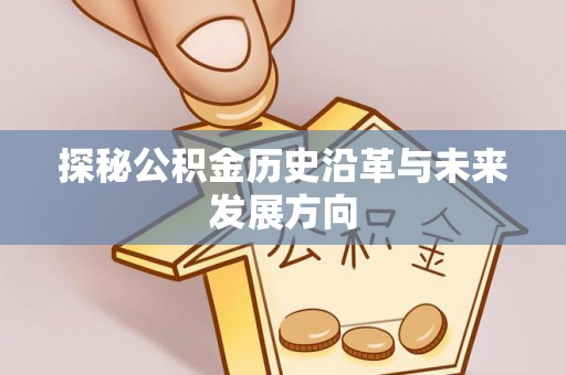 若羌探秘公积金历史沿革与未来发展方向