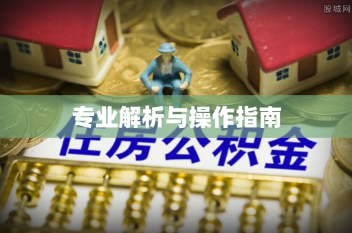 若羌专业解析与操作指南