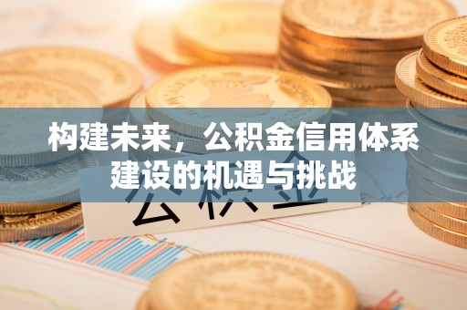 若羌构建未来，公积金信用体系建设的机遇与挑战