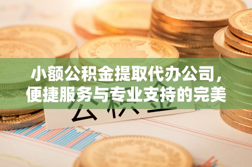 若羌小额公积金提取代办公司，便捷服务与专业支持的完美结合