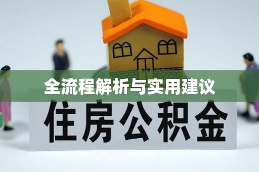 若羌全流程解析与实用建议