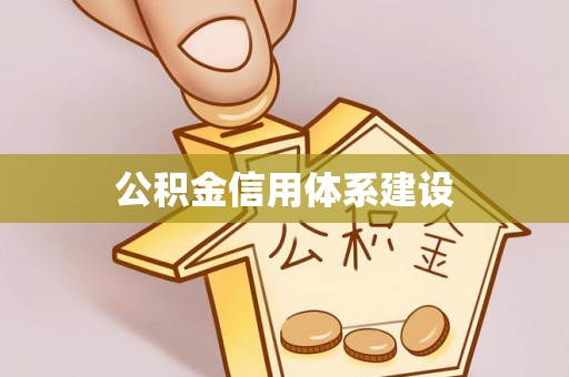 若羌公积金信用体系建设