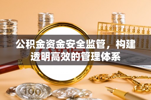 若羌公积金资金安全监管，构建透明高效的管理体系