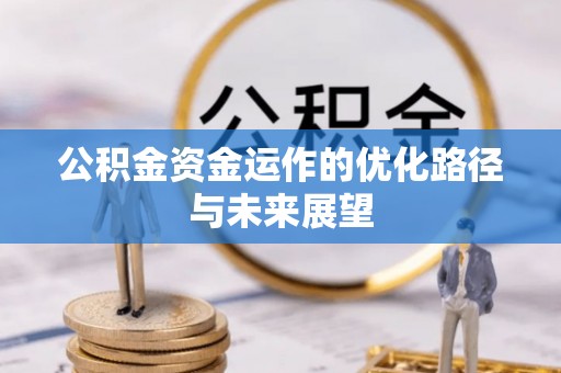 若羌公积金资金运作的优化路径与未来展望