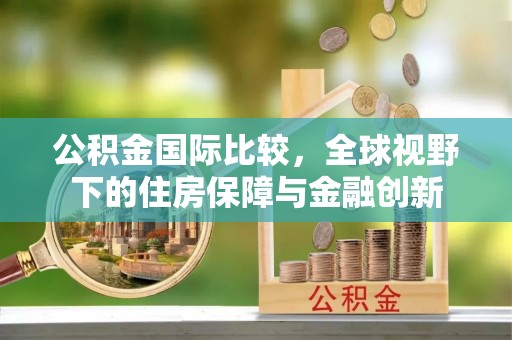 若羌公积金国际比较，全球视野下的住房保障与金融创新