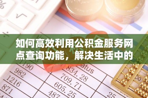 若羌如何高效利用公积金服务网点查询功能，解决生活中的资金难题