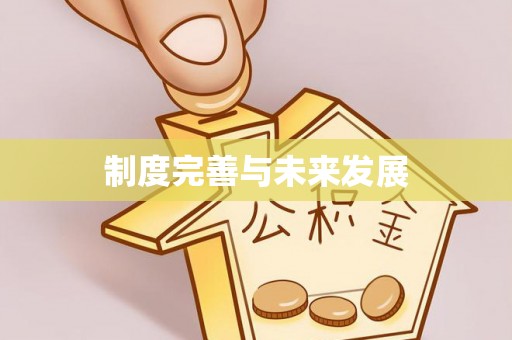若羌制度完善与未来发展