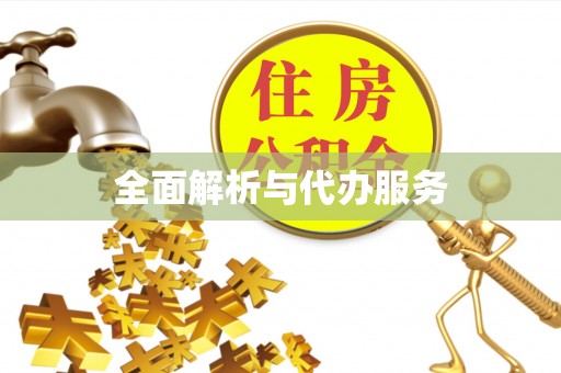 若羌全面解析与代办服务