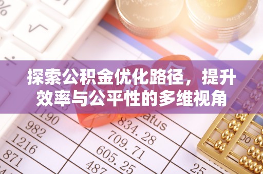 若羌探索公积金优化路径，提升效率与公平性的多维视角