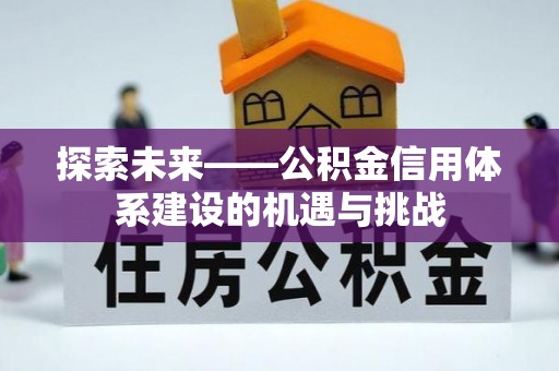 若羌探索未来——公积金信用体系建设的机遇与挑战