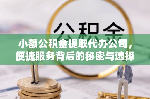 若羌小额公积金提取代办公司，便捷服务背后的秘密与选择指南