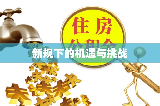 若羌新规下的机遇与挑战