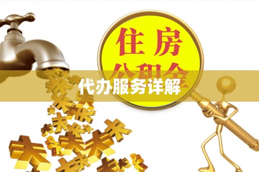 若羌代办服务详解
