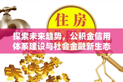 若羌探索未来趋势，公积金信用体系建设与社会金融新生态