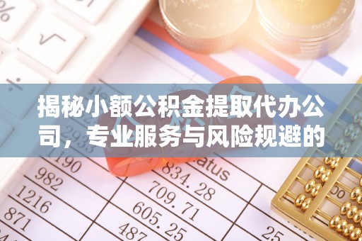 若羌揭秘小额公积金提取代办公司，专业服务与风险规避的平衡艺术