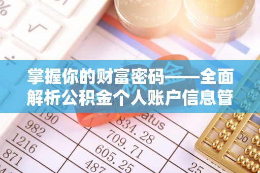 若羌掌握你的财富密码——全面解析公积金个人账户信息管理与优化