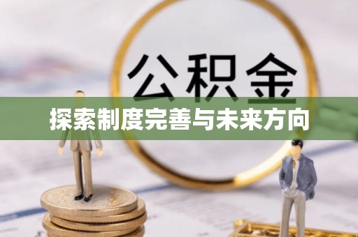 若羌探索制度完善与未来方向