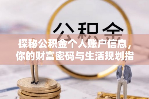 若羌探秘公积金个人账户信息，你的财富密码与生活规划指南