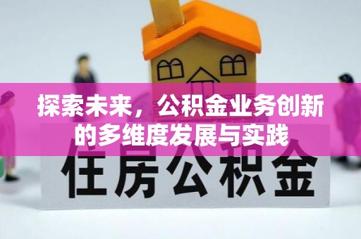 若羌探索未来，公积金业务创新的多维度发展与实践