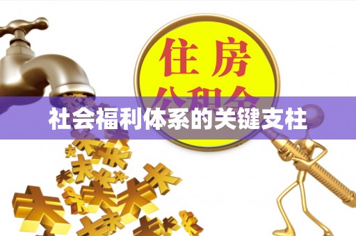 若羌社会福利体系的关键支柱