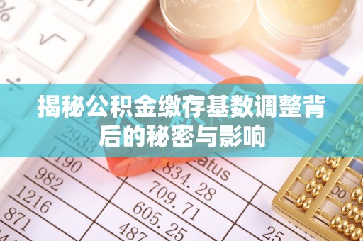 若羌揭秘公积金缴存基数调整背后的秘密与影响