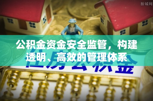 若羌公积金资金安全监管，构建透明、高效的管理体系