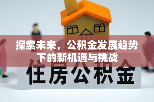 若羌探索未来，公积金发展趋势下的新机遇与挑战