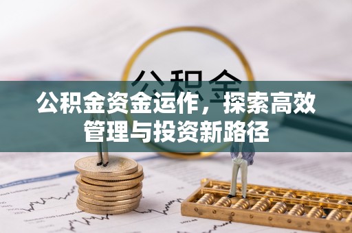 若羌公积金资金运作，探索高效管理与投资新路径