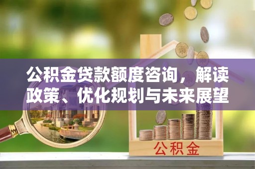 若羌公积金贷款额度咨询，解读政策、优化规划与未来展望