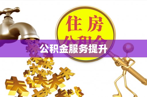 若羌公积金服务提升
