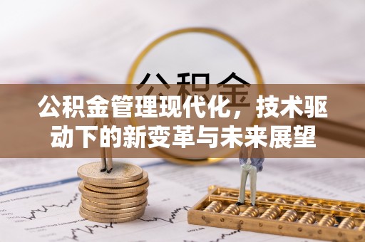 若羌公积金管理现代化，技术驱动下的新变革与未来展望