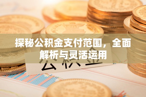 若羌探秘公积金支付范围，全面解析与灵活运用